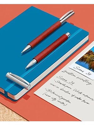 Ambition Pearwood Tükenmez