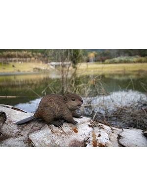 Kunduz Yavru Heykeli