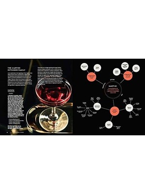 Cocktail Codex: Fundamentals, Formulas, Evolutions: Fundamentals, Formulas, Evolutions