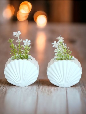 Mini Beton Midye Vazo Seti, Şık ve Dekoratif Hediye Alternatifi