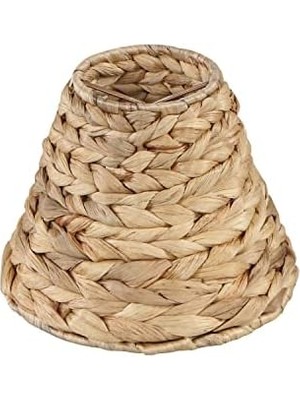 Aspen 51004-2, Empire Klipsli Avize, Su Sümbülü, 7,62 cm Üst x 15,24 cm Alt x 4 3/4 Inç Eğimli Yükseklik, 2'li Set