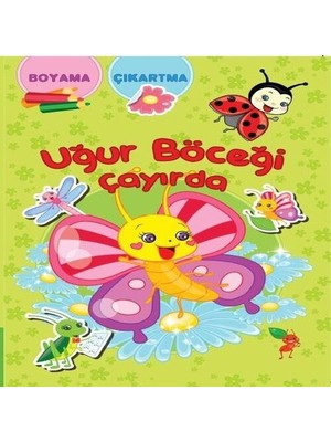 Colezium Uğur Böceği Çayırda