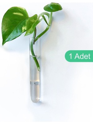 Şeffaf Cam Vazo, Bitki Köklendirme ve Dekorasyon Için 10CM, Mini Saksı