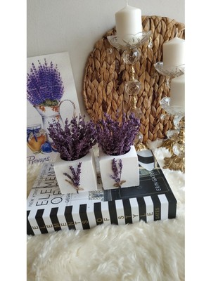 2'li Kare Saksı Seti, Şoklanmış Lavanta Arajmanları, Dekoratif ve Şık