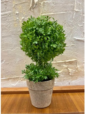 FB Cup Geometrik Estetik: Ikili Küre Formlu Canlı Yeşil Dekoratif Bitki (24 cm x 10 Cm)