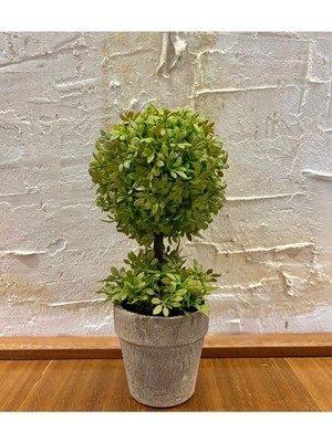 FB Cup Minimalist Çift Katlı Yeşim Topiary Aranjmanı (24 cm x 10 Cm)