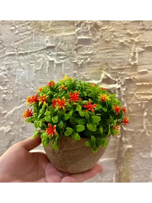 FB Cup Modern Turuncu Bahar Esintisi Yapay Aranjman (13 cm x 17 Cm)