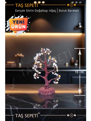 Feyza Design Doğal Sitrin Taşı Ağaç Para Mıknatısı Feng Shui Dekor 15 cm