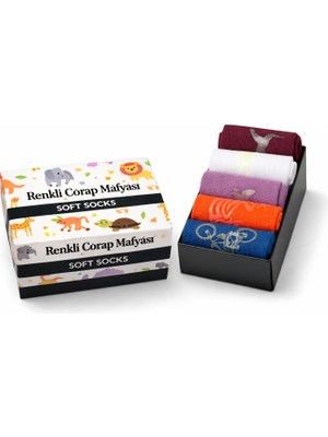 Heritage Nature Hn Socks Karanlıkta Parlayan-Unisex-Pamuklu-Kutulu Hediye Seti