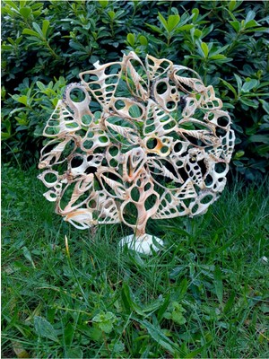 Feyza Design Deniz Kabuğu Dekor, Doğal ve Şık Ev Süslemesi Için Mükemmel Seçenek