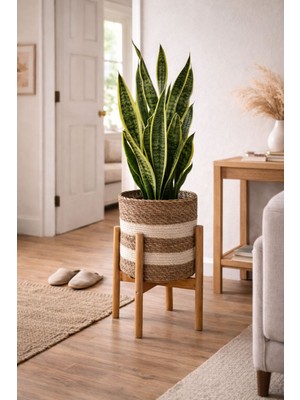 ada ahşap oyma ve çerçevecilik 21CM Hasır Saksı ve Standı