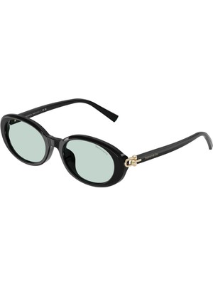 Tiffany&Co. Tiffany Tf 4242-D 8001/D9 Güneş Gözlüğü