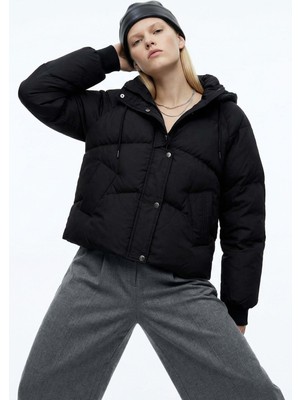 Rays 3503 Ribanalı Mont Siyah