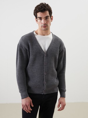 Lc Waikiki Yeni Sezon Standart Kalıp V Yaka Erkek Triko Hırka