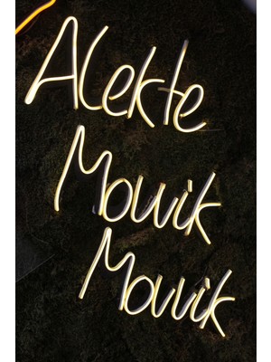 Neon Tabela Neon Dekoratif Duvar Aydınlatması Cümle