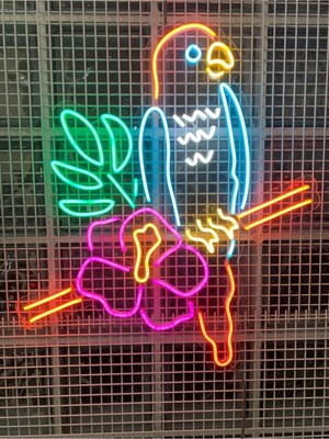 Papağan Neon LED Işık