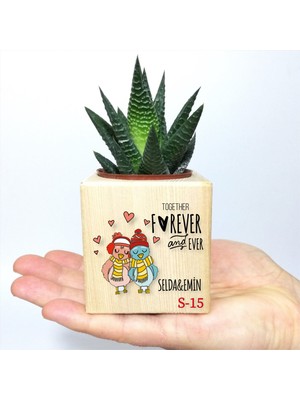E-Hediyeci Kişiye Özel Ahşap Saksıda Hediyelik Sukulent - Sevgiliye Hediye, Sevgililer Günü Hediyesi, Yılbaşı Hediyesi Ahşap Küp Saksıda Sukulent, Doğum Günü Hediyesi, Hediye Sukulent