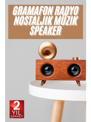 Hsc Bilişim Gramafon Nostaljik Radyo Yüksek Ses Kalitesi USB Tf Kart Aux
