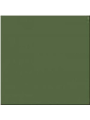 Models Rus Koyu Zeytin 2 Fs 34096, MIOMMP029