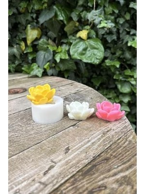 Laui Sukulent Mum Kalıbı (Silikon)