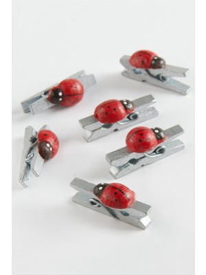 Zero Storozal 1 Adet Uğur Böceği Süs Mandal-Gri