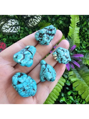 Kütle Damarlı Turkuaz Taşı Adet