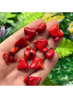 Adetli Dal Mercan Taşı