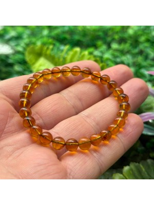 Yetişkin Kehribar Bileklik