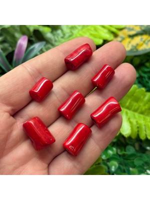 Adetli Silindir Mercan Taşı