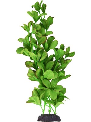 Underwater Treasures Ipek Bacopa Monnieri - 30,48 cm