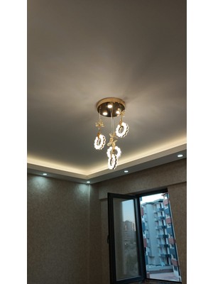 Yeni Model 4 Sarkıt Papatya Lüx LED Avize 3 Işık Seçeneği