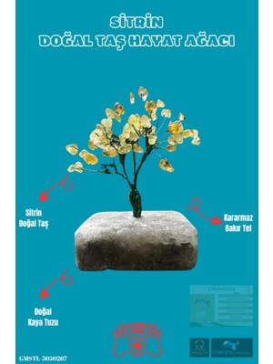 Feyza Design Doğal Taş Hayat Ağacı Biblo, Sertifikalı ve El Yapımı Sürpriz Hediyeli