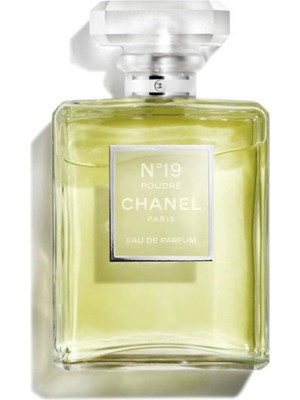 Chanel Long-Lasting Perfume With Extraordinary Formula 100ML-N19 Poudre Edp