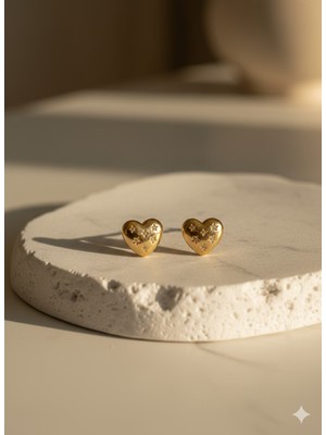 Çelik Takı Zirkon Taş Detaylı Çift Taraflı Kalp Kapaklı Çelik Küpe