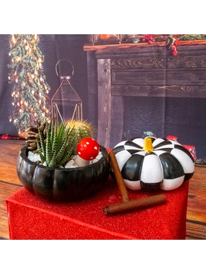 Mini Stil Black Kabak Saksıda Sukulent Aranjmanı ve Dama Dekoratif Bal Kabağı
