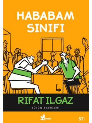 Çınar Yayınları Hababam Sınıfı