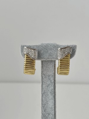 Calista Aksesuar Çift Renkli Çizgili ve Taşlı Küpe