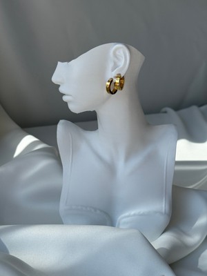 NB Steelora Gold Renk Çelik Modern Çift Halka Küpe