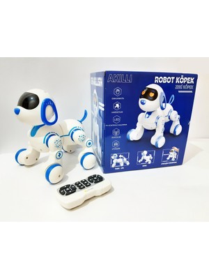 Renkli Çiçekler Kumandalı Akıllı Robot Köpek Şarkı Söyleyen Dans Eden Şınav Çeken Sesli Oyuncak Robot