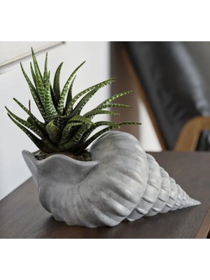 Talha3D Deniz Kabuğu Dekoru Saksı