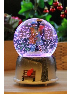 Kış Masalı Sokak Lambası Sevgiliye Özel Işıklı Orta Boy Kar Küresi