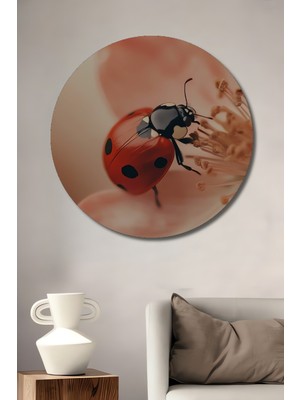 Teona Ahşap Uçan Kelebek ve Uçan Yaban Arısı Sanat Tuale Yuvarlak Duvar Tablosu