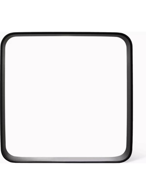 Rae Morris Manyetik Fırça Düzenleyici, Çift Katlı Profesyonel Organizatör