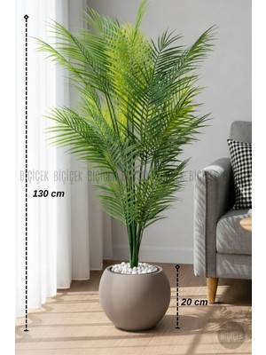 Biçiçek Areka Ağacı 24 Yapraklı 130 cm Küre Saksıda