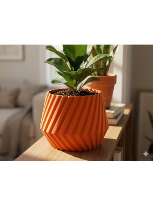 Zervano Geometrik Saksı - Vazo Modu ve Kabuklu 12 x 9 cm