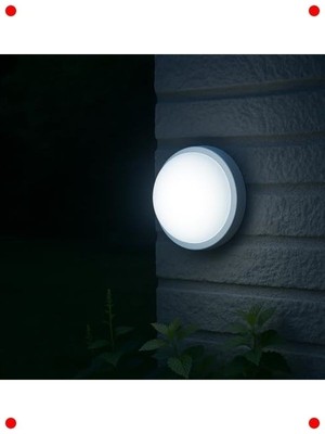 MarkEntegra 20W Tan & Duvar Lambası, IP65 Beyaz Işık