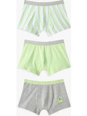 Penti Renkli Erkek Çocuk Dino 3'lü Boxer