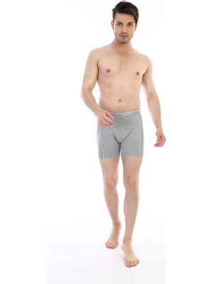 Beruflic Lavi Çift Kaplan 855 Uzun Erkek Boxer Moda