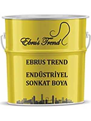Ebrus Trend Endüstriyel Son Kat Boyası (2 Grup) 1 kg