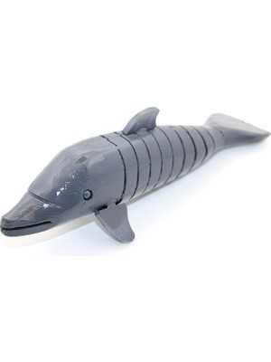 Tiklad Ahşap Sallanan Balık Model 1 TİKLAD-6487I